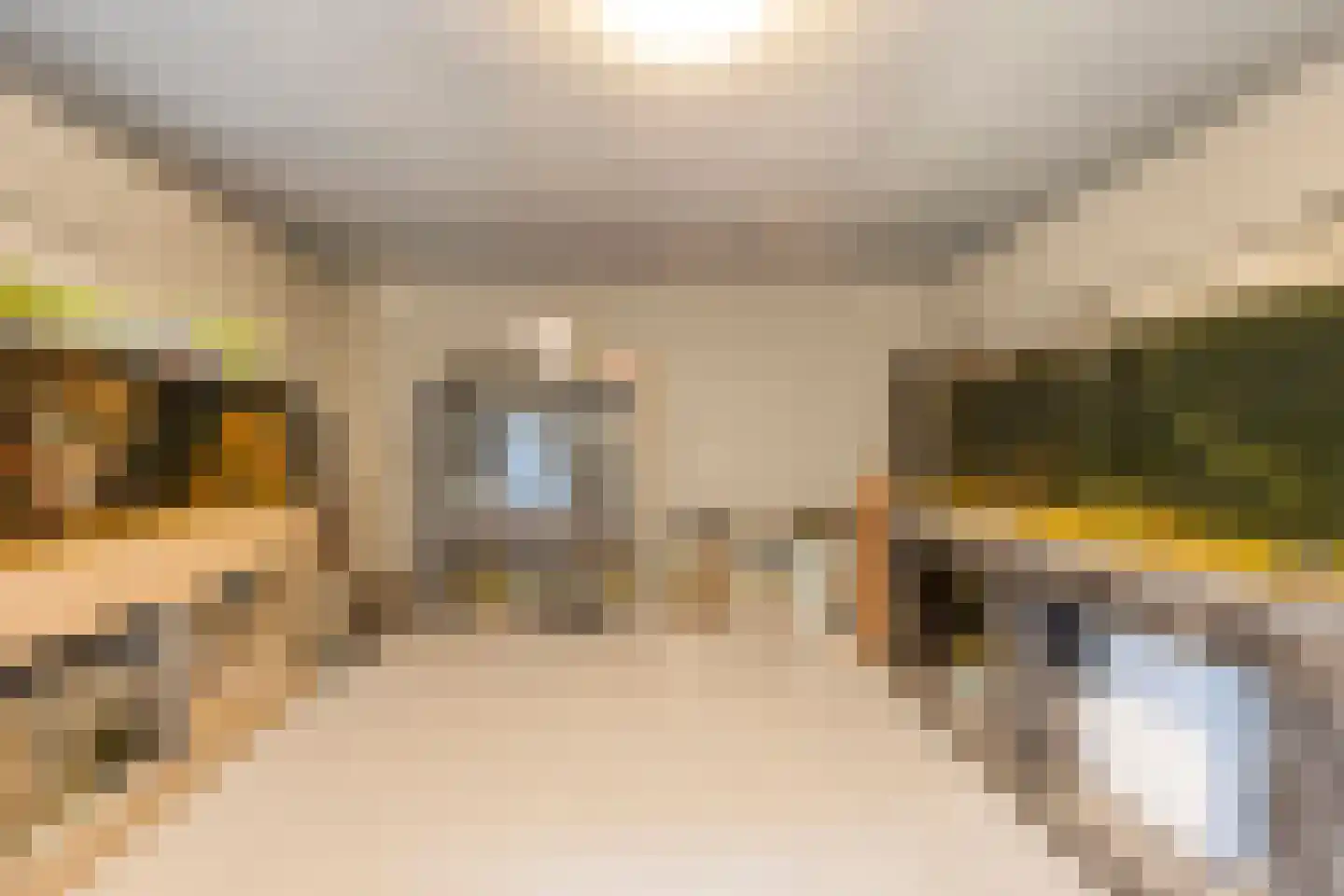Wagenaarstraat 25 Oss thumbnail 29