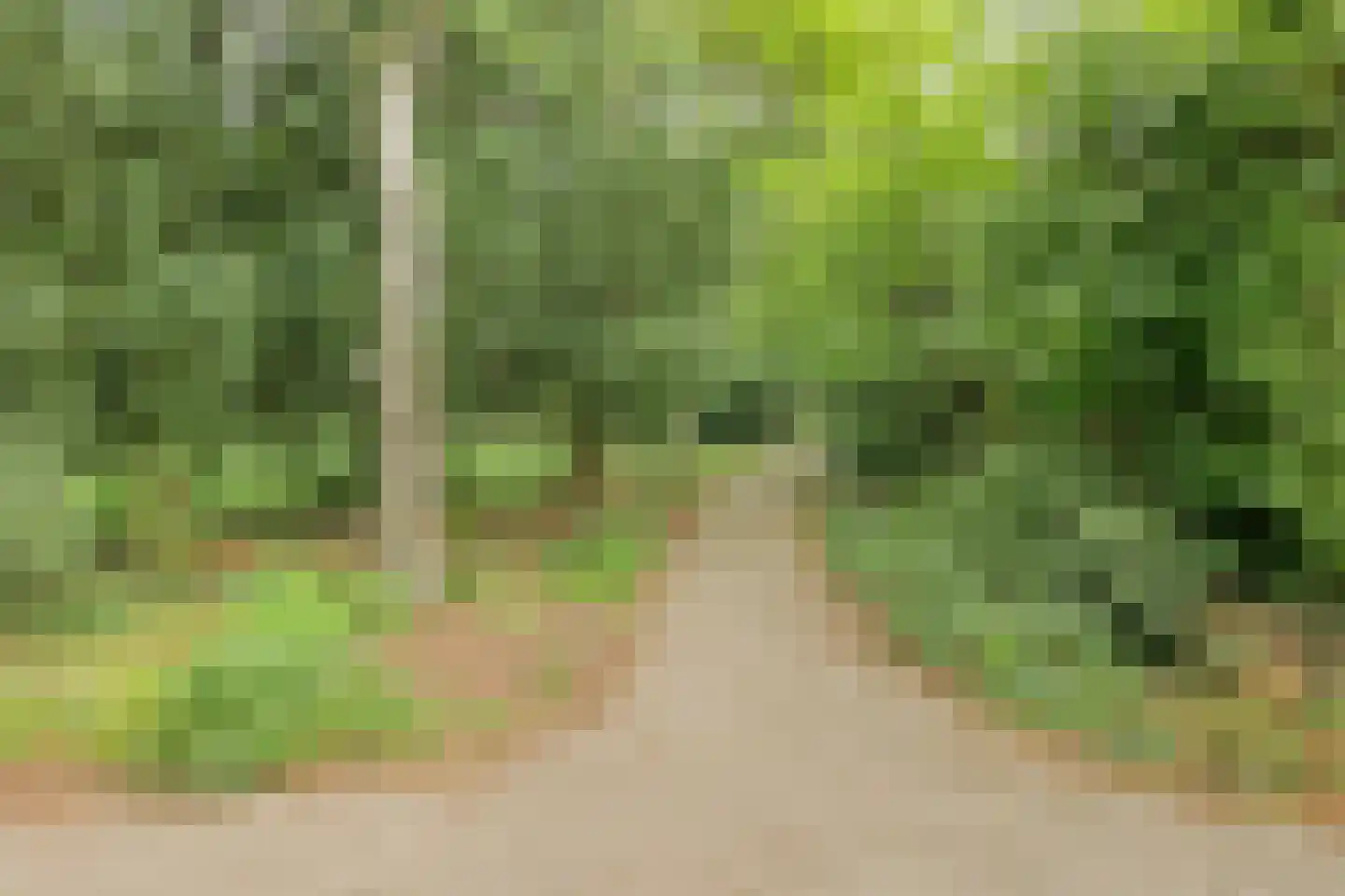 Wagenaarstraat 25 Oss thumbnail 37