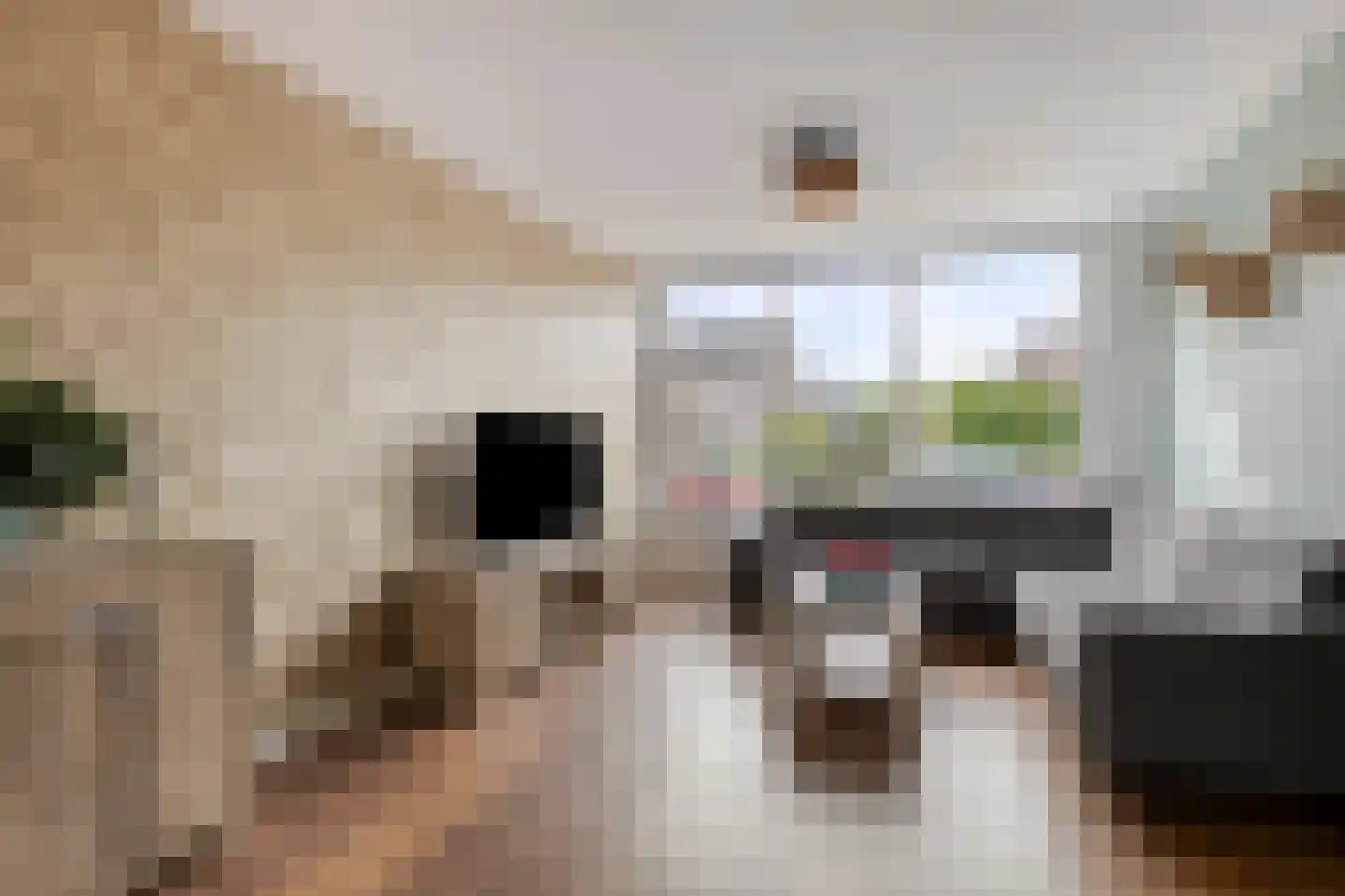 Wagenaarstraat 25 Oss thumbnail 4