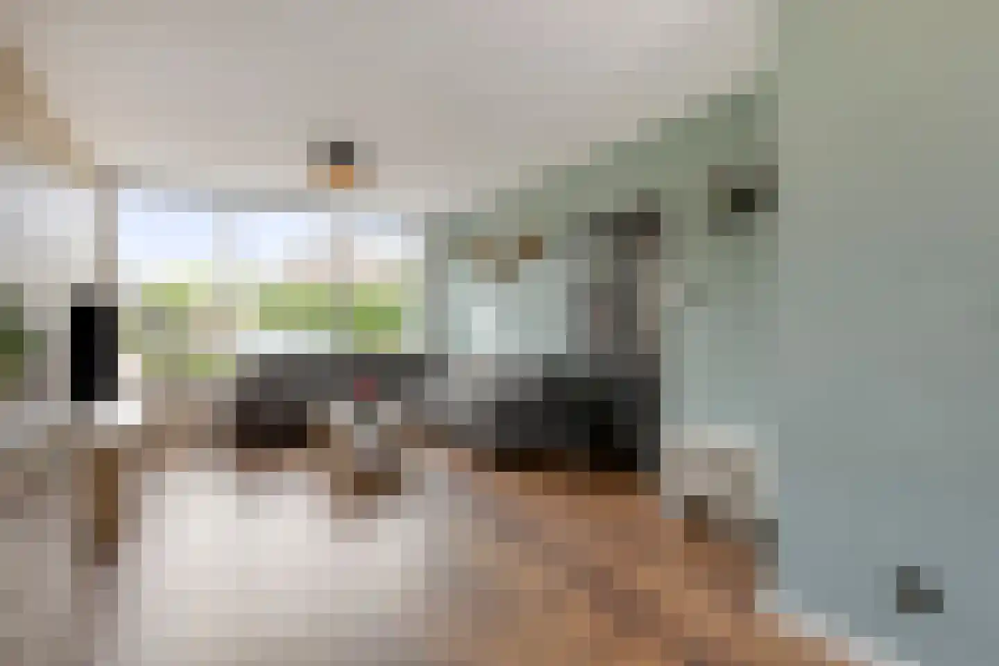 Wagenaarstraat 25 Oss thumbnail 5