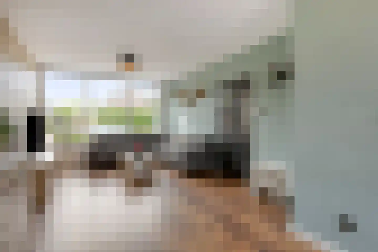 Wagenaarstraat 25 Oss thumbnail 5
