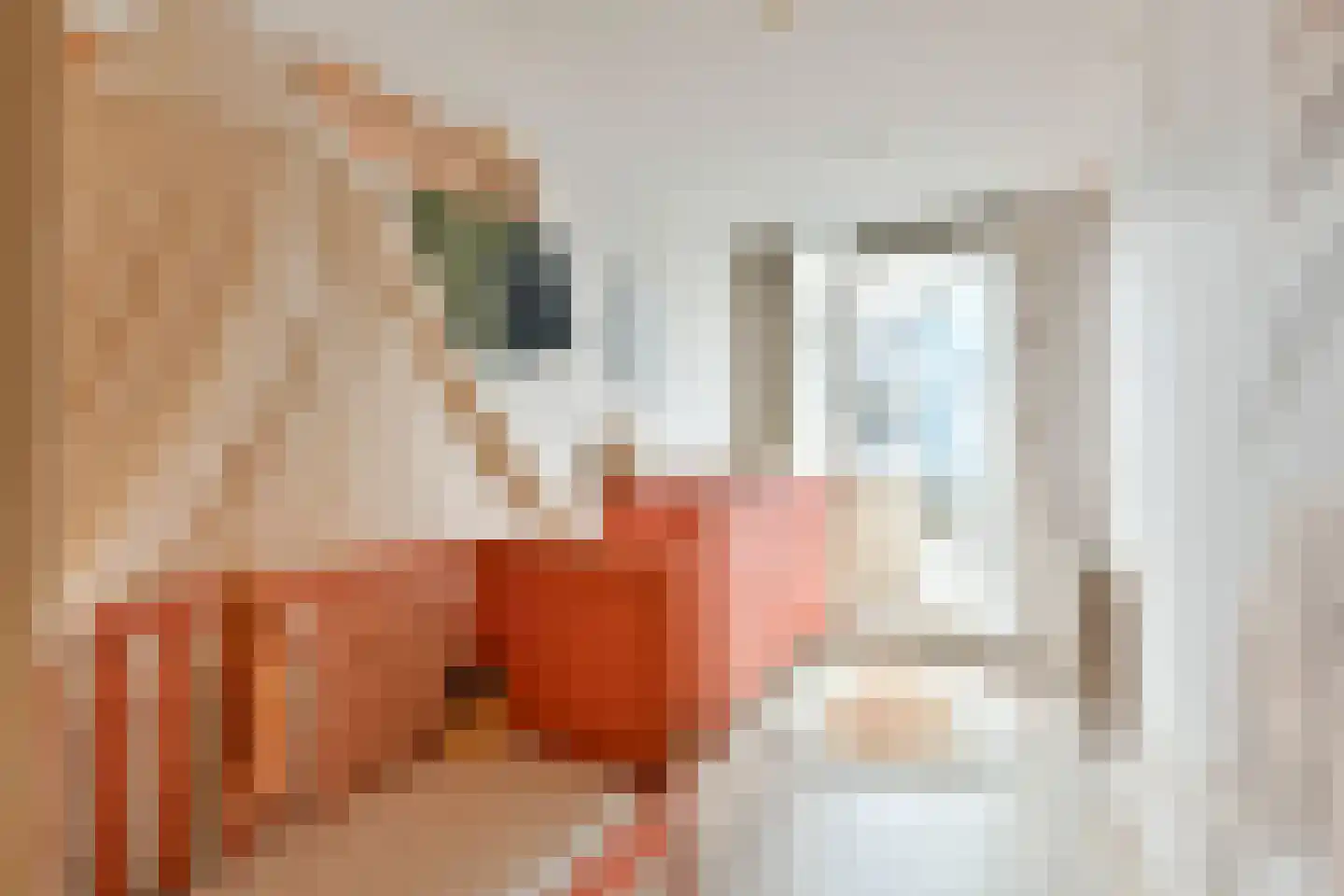 Wagenaarstraat 28 E Amsterdam thumbnail 10