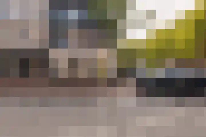 Wagenaarstraat 305 Amsterdam thumbnail 23