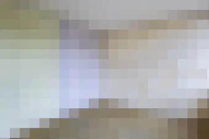 Wagenaarstraat 31 Oss thumbnail 24