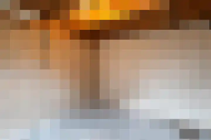 Wagenaarstraat 31 Oss thumbnail 32