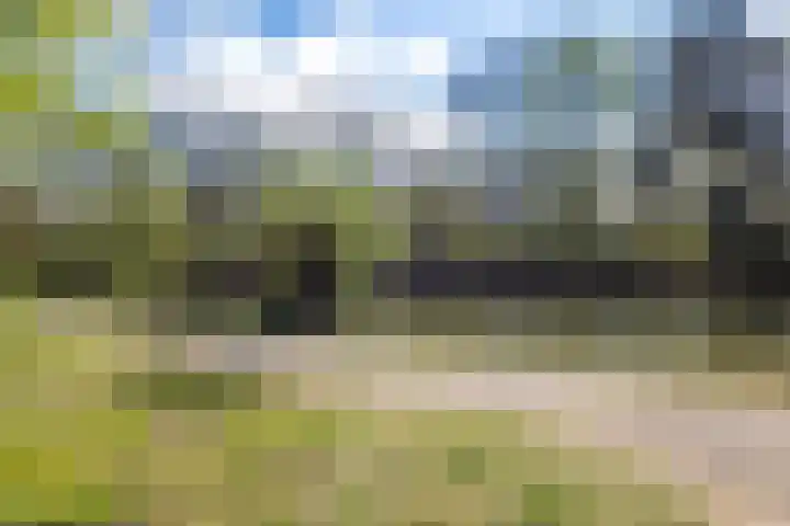 Wagenaarstraat 31 Oss thumbnail 42