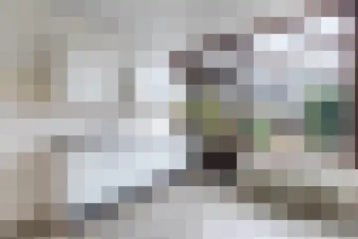 Wagenaarstraat 31 Oss thumbnail 9