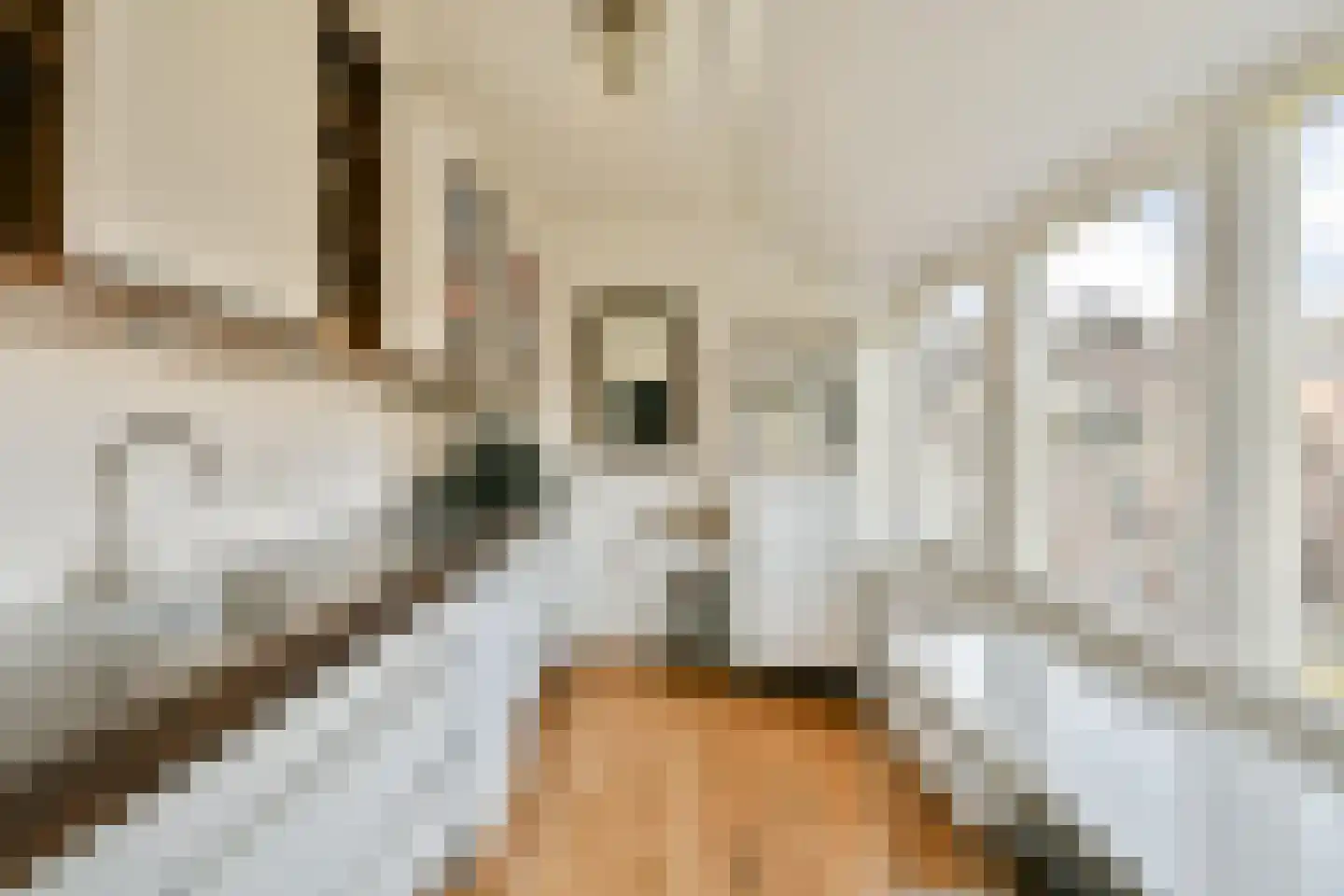 Wagenaarstraat 329 Amsterdam thumbnail 7