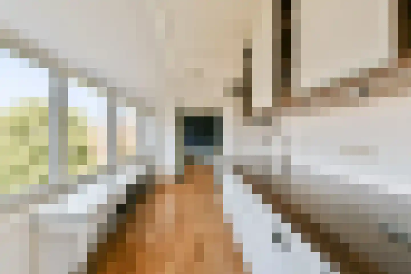 Wagenaarstraat 329 Amsterdam thumbnail 8