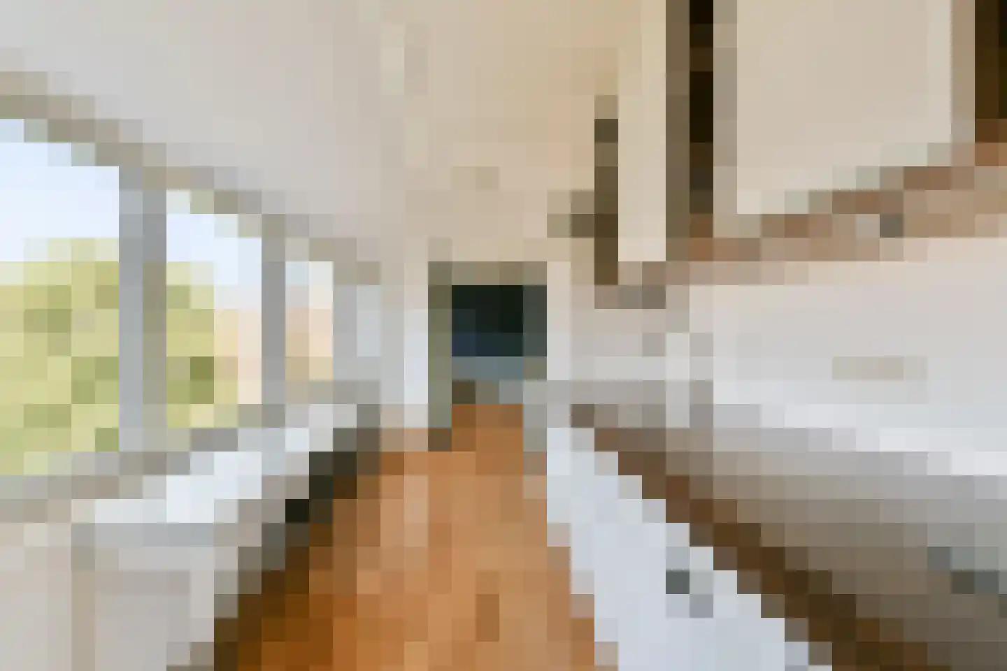 Wagenaarstraat 329 Amsterdam thumbnail 9