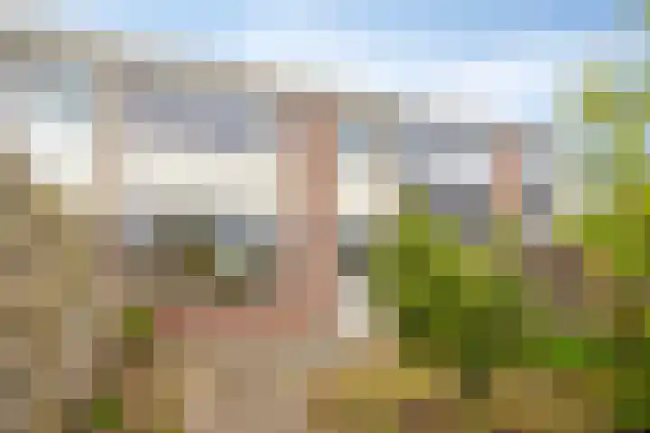 Wagenaarstraat 329 Oss thumbnail 24