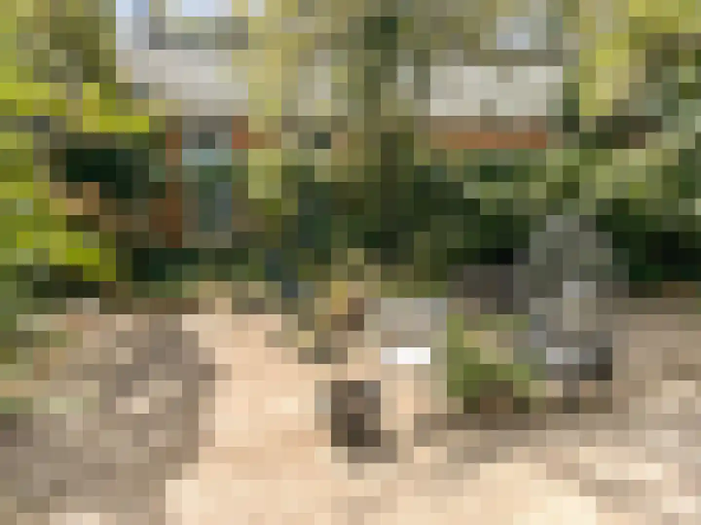 Wagenaarstraat 34 E Amsterdam thumbnail 16