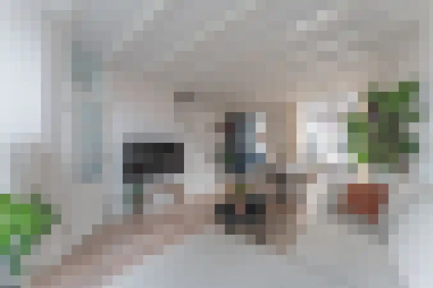 Wagenaarstraat 4 Enkhuizen thumbnail 19