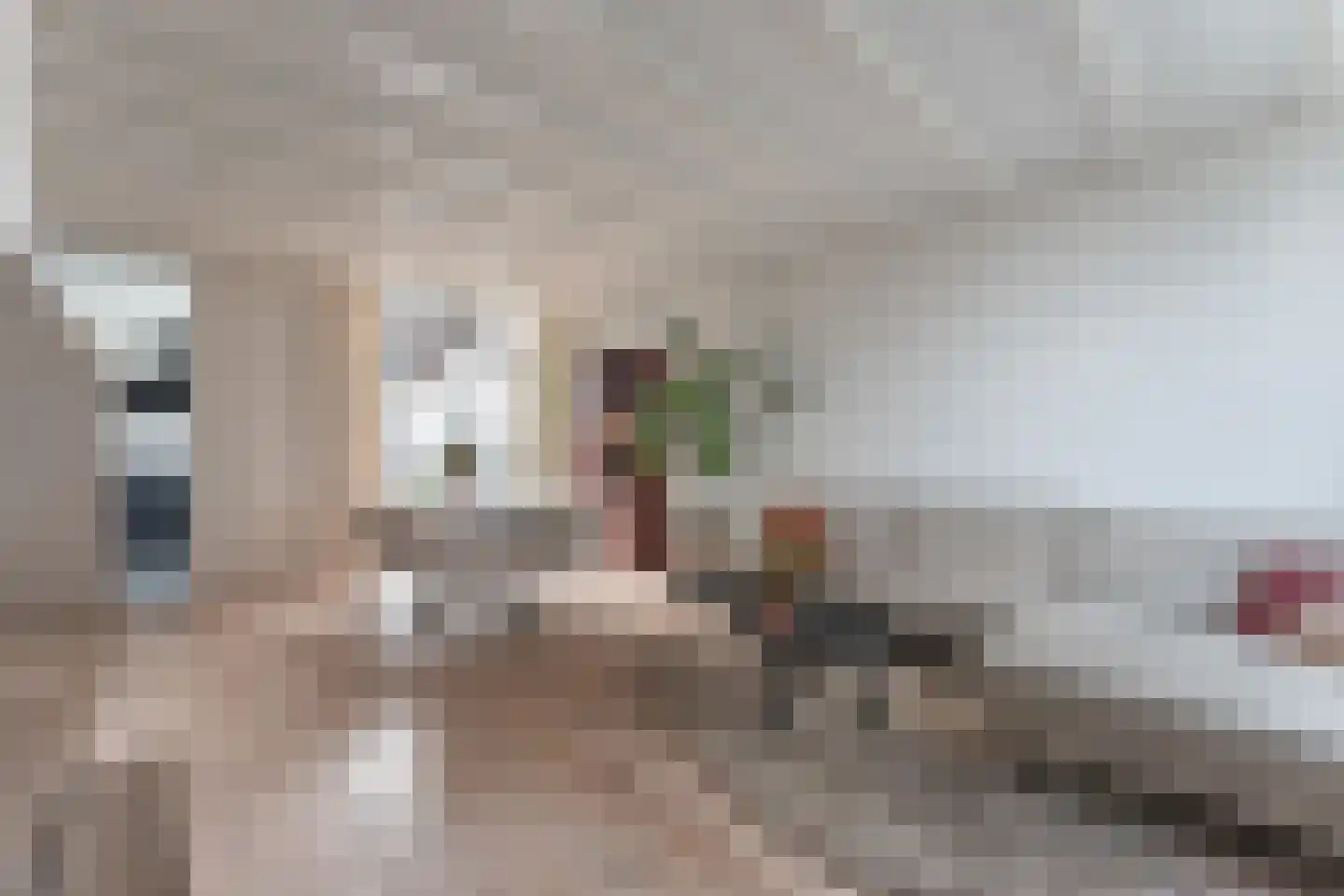 Wagenaarstraat 4 Enkhuizen thumbnail 21