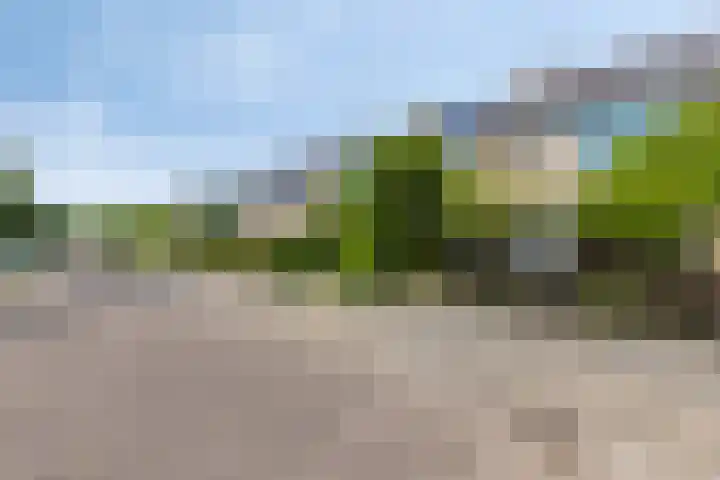 Wagenaarstraat 40 Oosterhout thumbnail 30