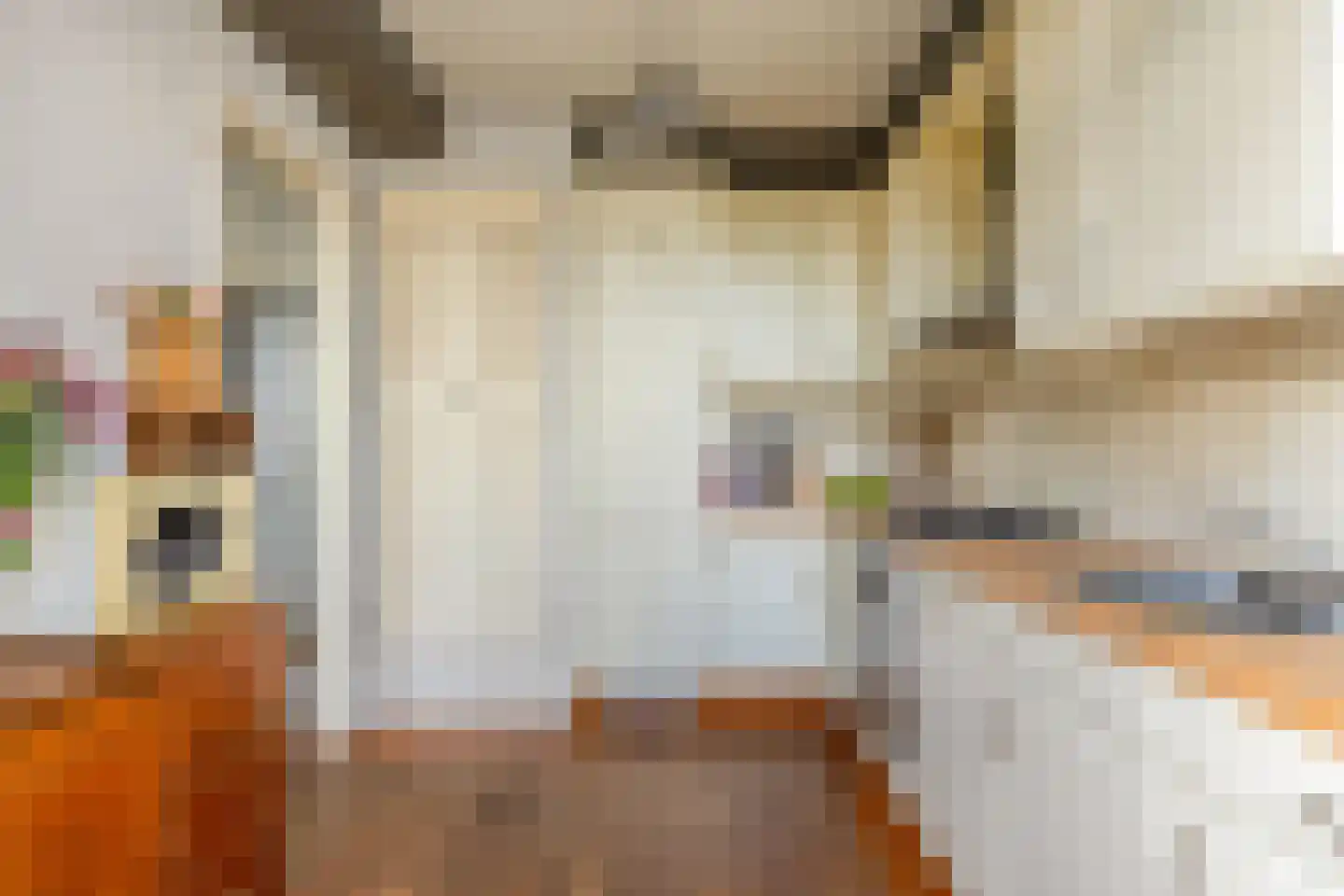 Wagenaarstraat 45 Oss thumbnail 14