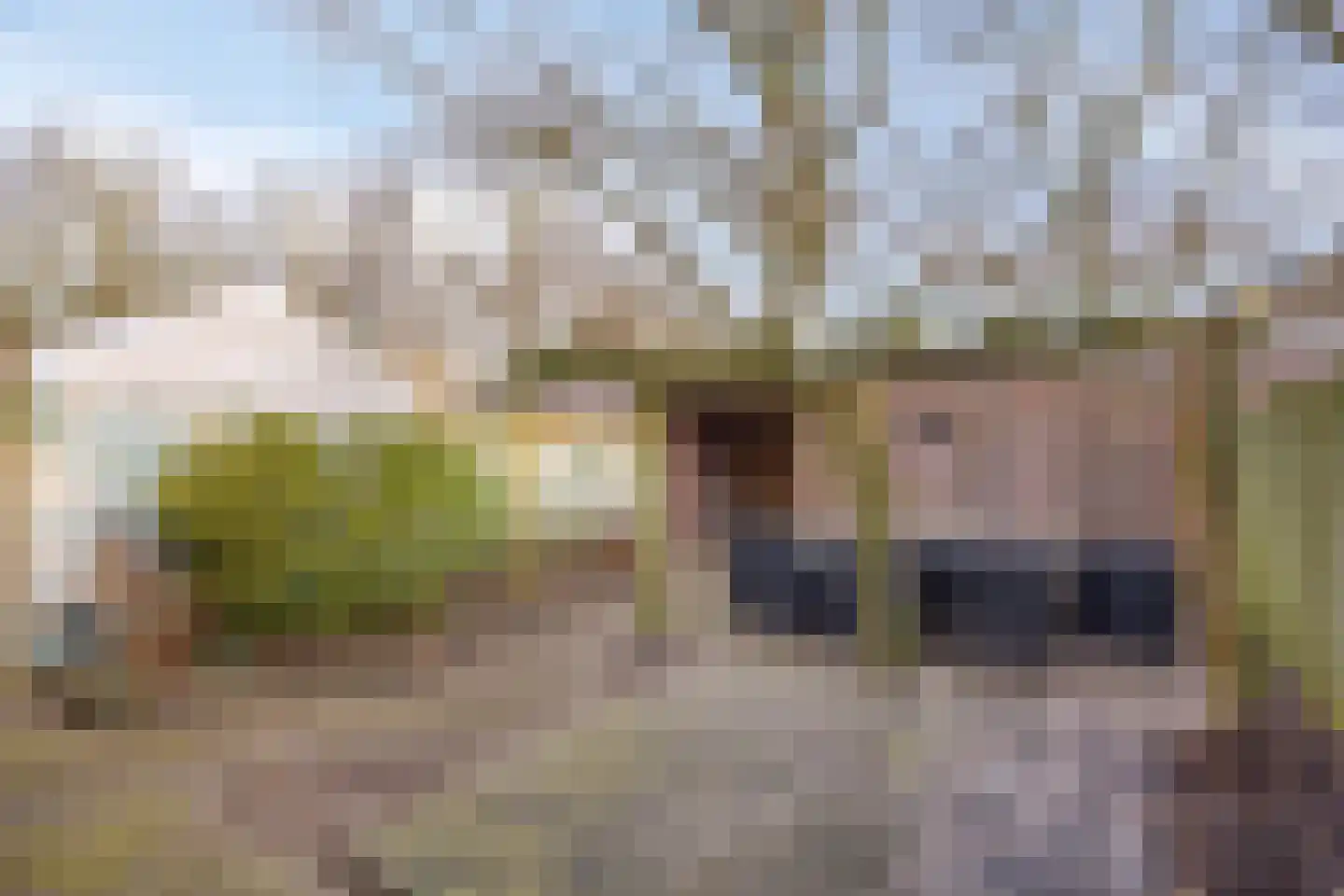 Wagenaarstraat 45 Oss thumbnail 24