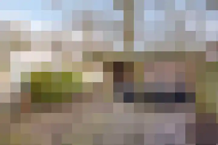 Wagenaarstraat 45 Oss thumbnail 24