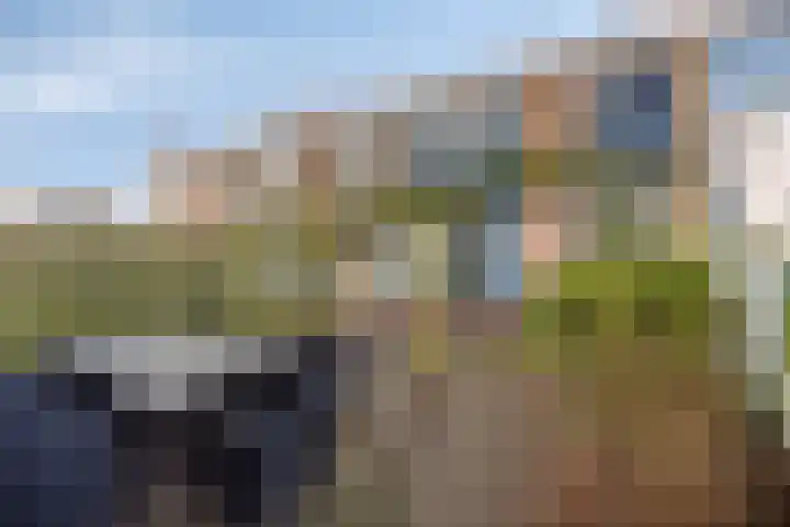 Wagenaarstraat 45 Oss thumbnail 4