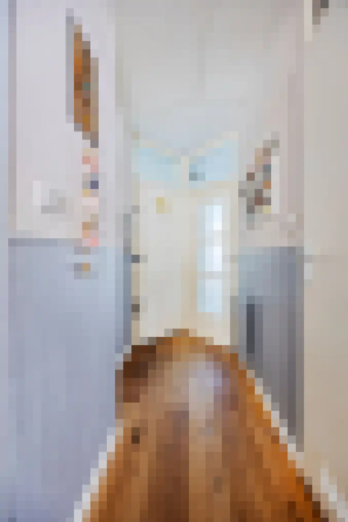 Wagenaarstraat 459 Amsterdam thumbnail 8