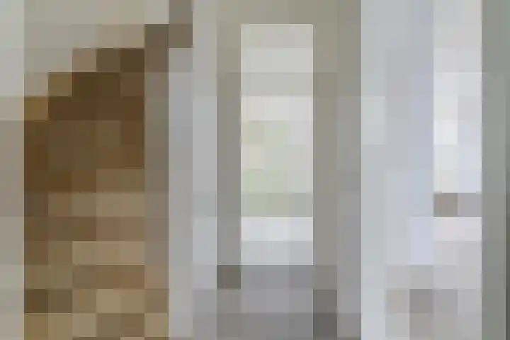 Wagenaarstraat 46 Oss thumbnail 10