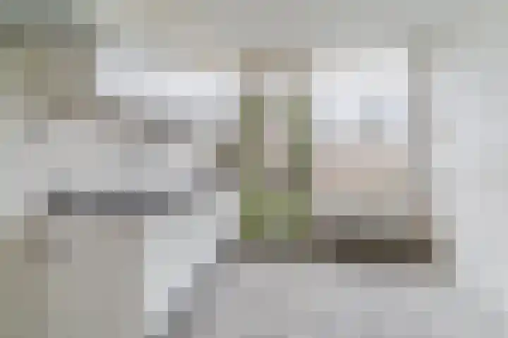 Wagenaarstraat 46 Oss thumbnail 6