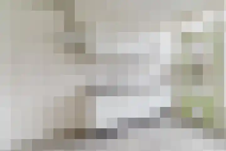 Wagenaarstraat 46 Oss thumbnail 7