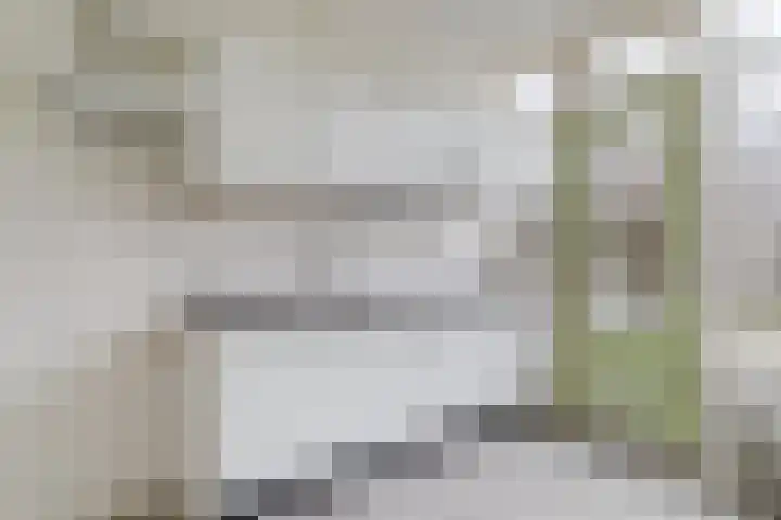 Wagenaarstraat 46 Oss thumbnail 8