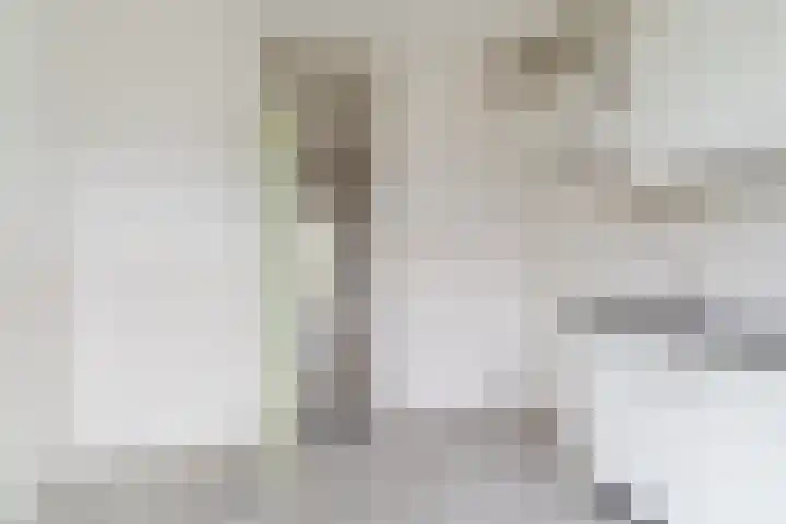 Wagenaarstraat 46 Oss thumbnail 9