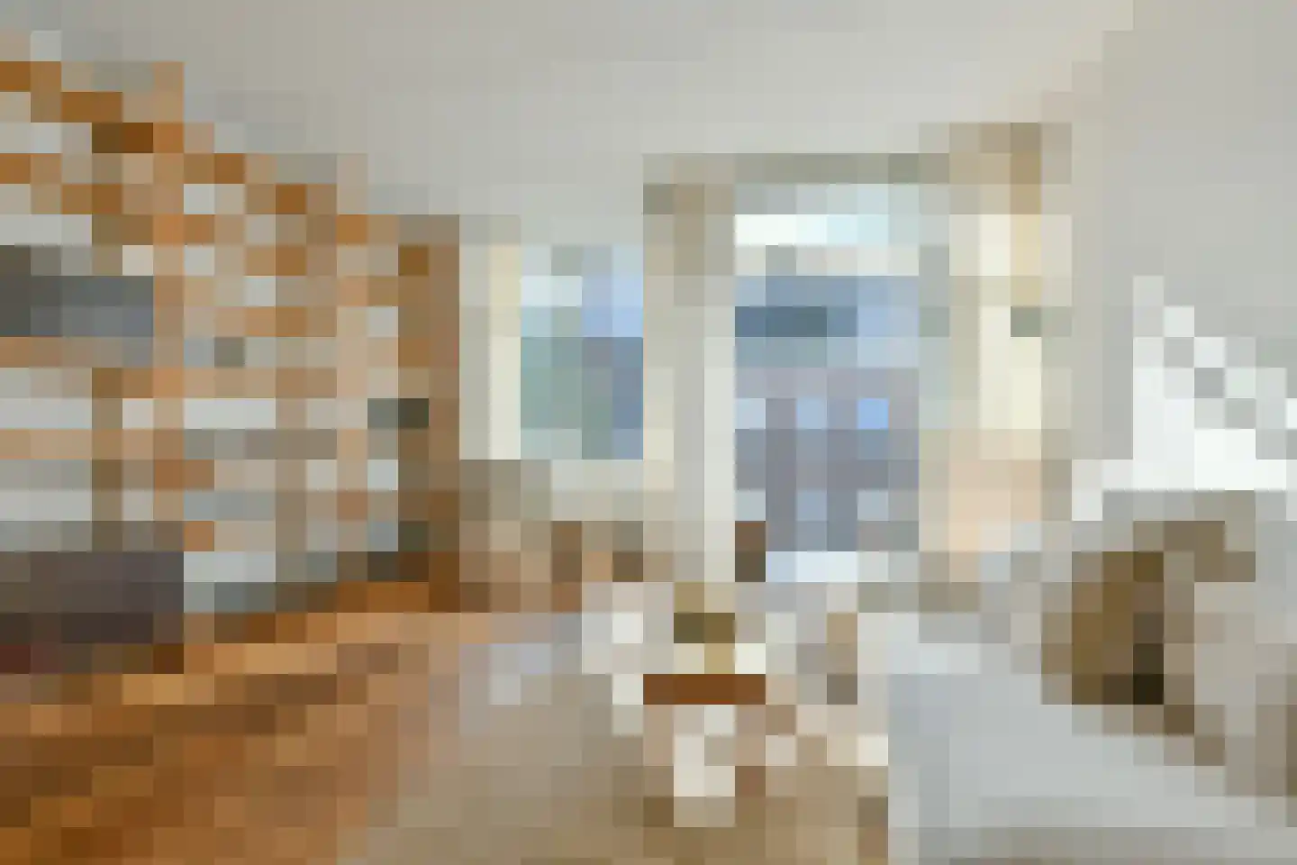 Wagenaarstraat 469 Amsterdam thumbnail 4