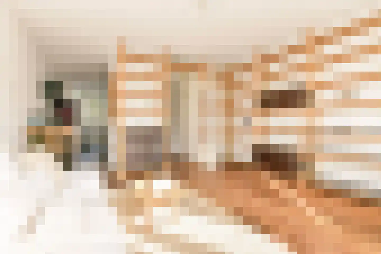 Wagenaarstraat 469 Amsterdam thumbnail 7