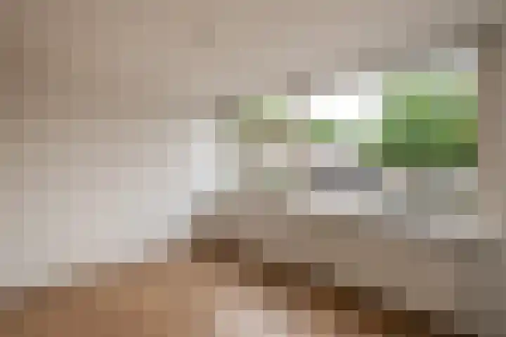 Wagenaarstraat 5 Oss thumbnail 13