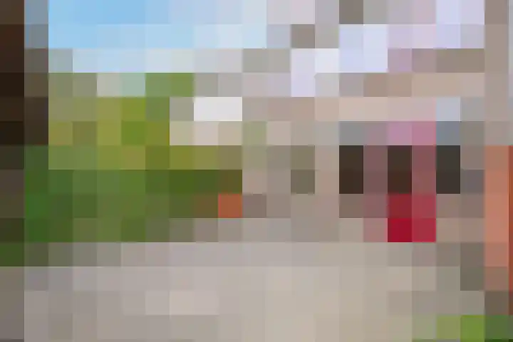 Wagenaarstraat 5 Oss thumbnail 18