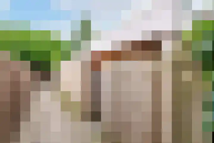 Wagenaarstraat 5 Oss thumbnail 23