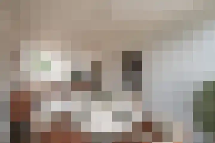Wagenaarstraat 5 Oss thumbnail 8