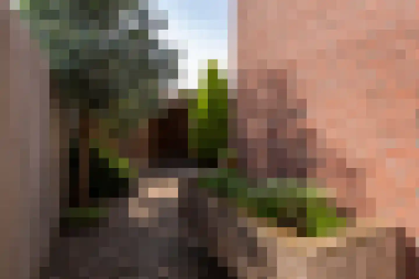 Wagenaarstraat 52 Tilburg thumbnail 21