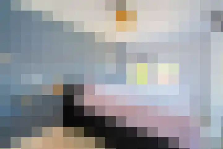 Wagenaarstraat 6 Blokker thumbnail 20