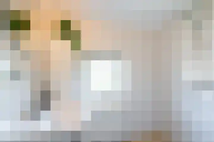 Wagenaarstraat 6 Blokker thumbnail 22