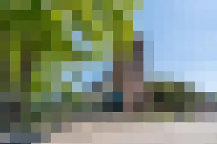 Wagenaarstraat 6 Blokker thumbnail 26