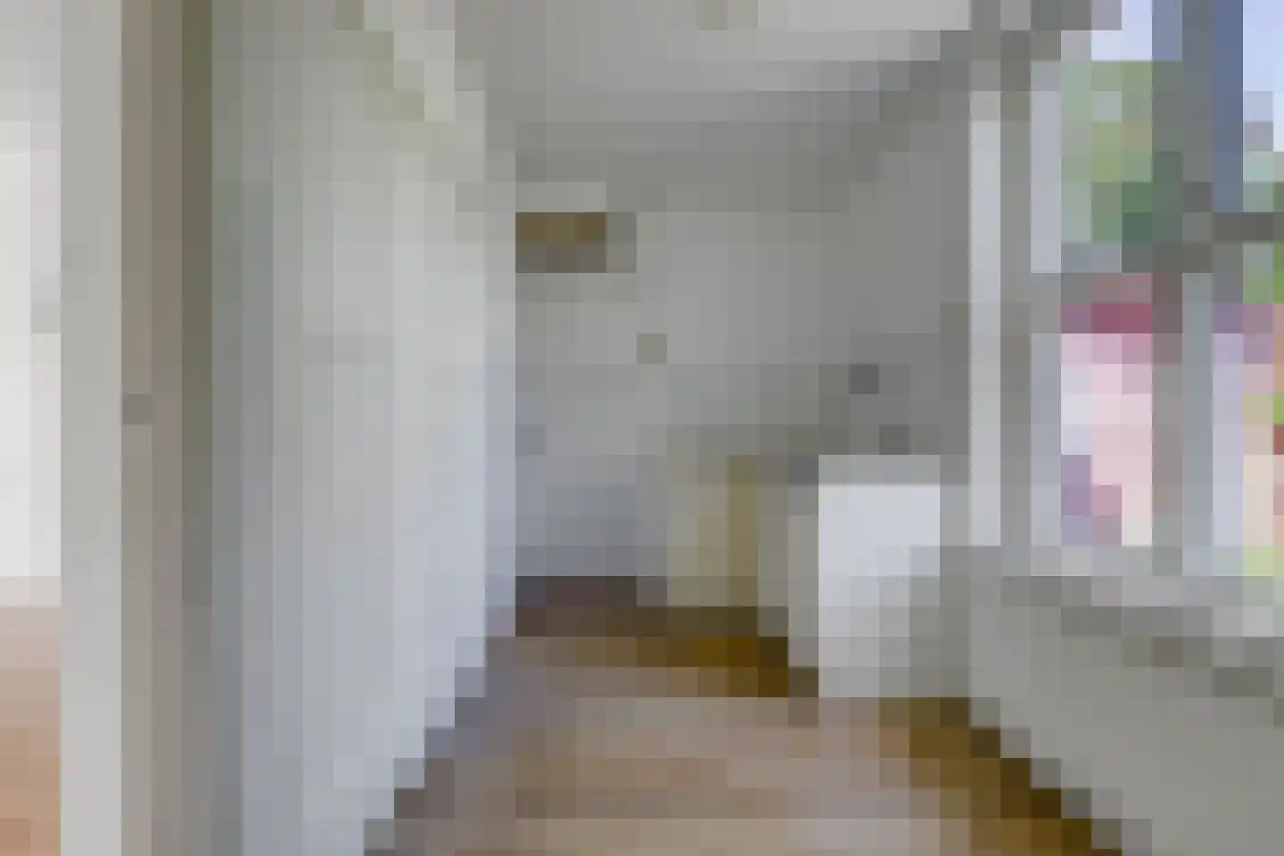 Wagenaarstraat 6 Veere thumbnail 14