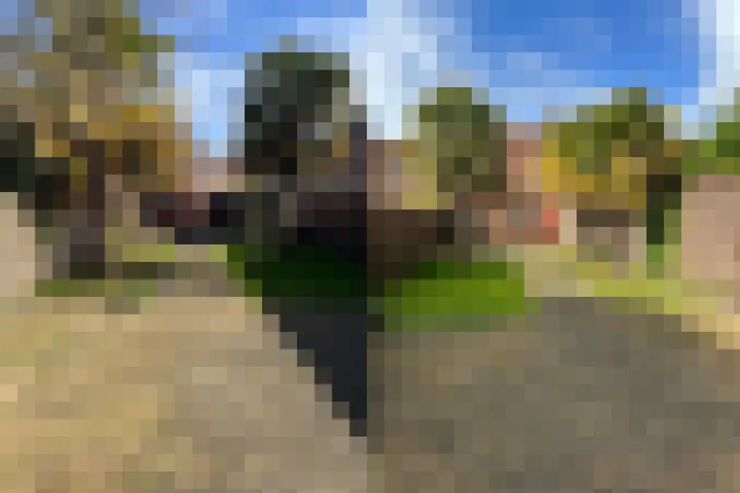 Wagenaarstraat 6 Veere thumbnail 24