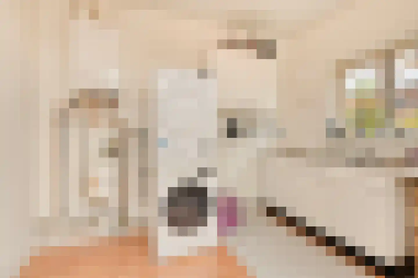 Wagenaarstraat 83 Oss thumbnail 24