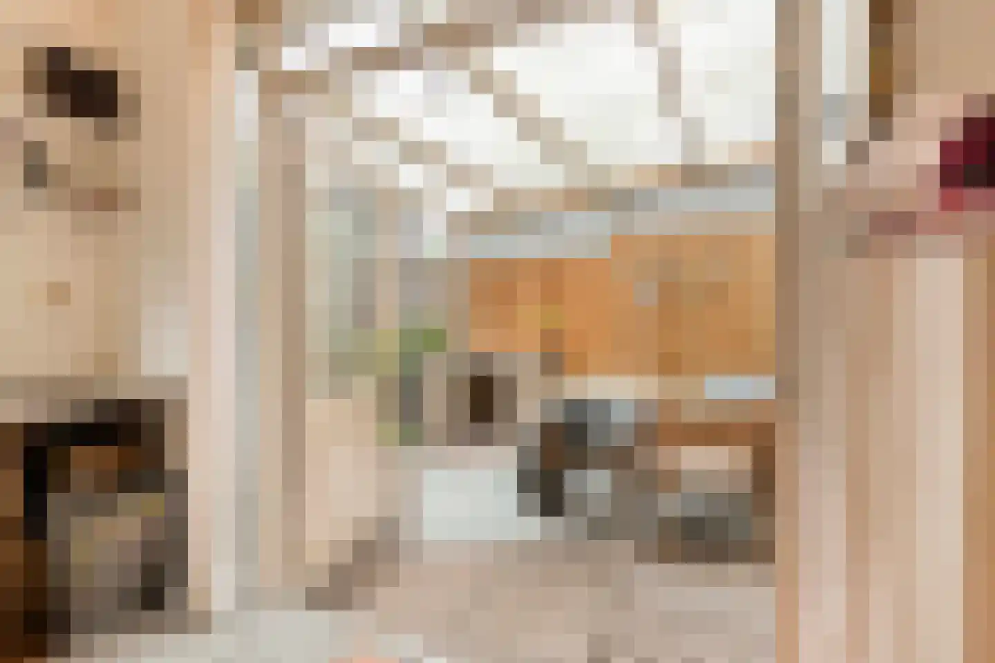 Wagenaarstraat 83 Oss thumbnail 25