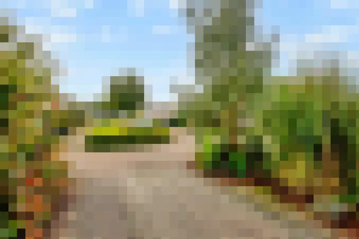 Wagenaarstraat 83 Oss thumbnail 33