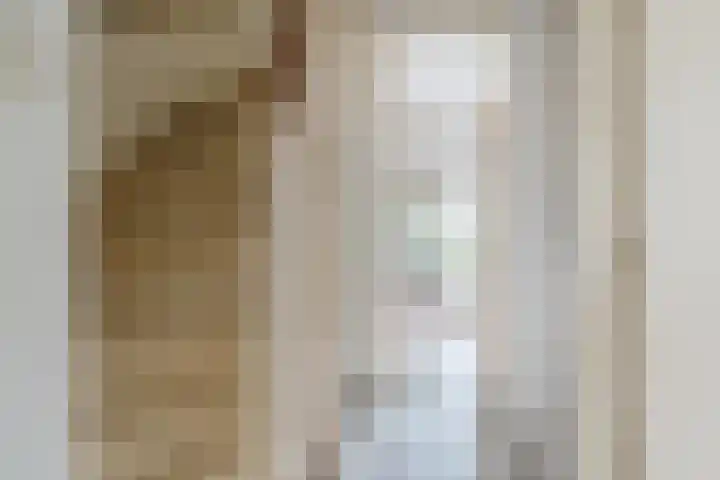 Wagenaarstraat 88 Oss thumbnail 10