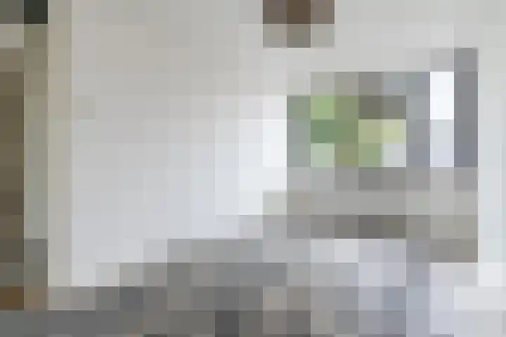 Wagenaarstraat 88 Oss thumbnail 16