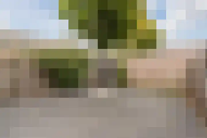 Wagenaarstraat 88 Oss thumbnail 21