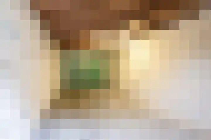 Wagenaarstraat 88 Oss thumbnail 22