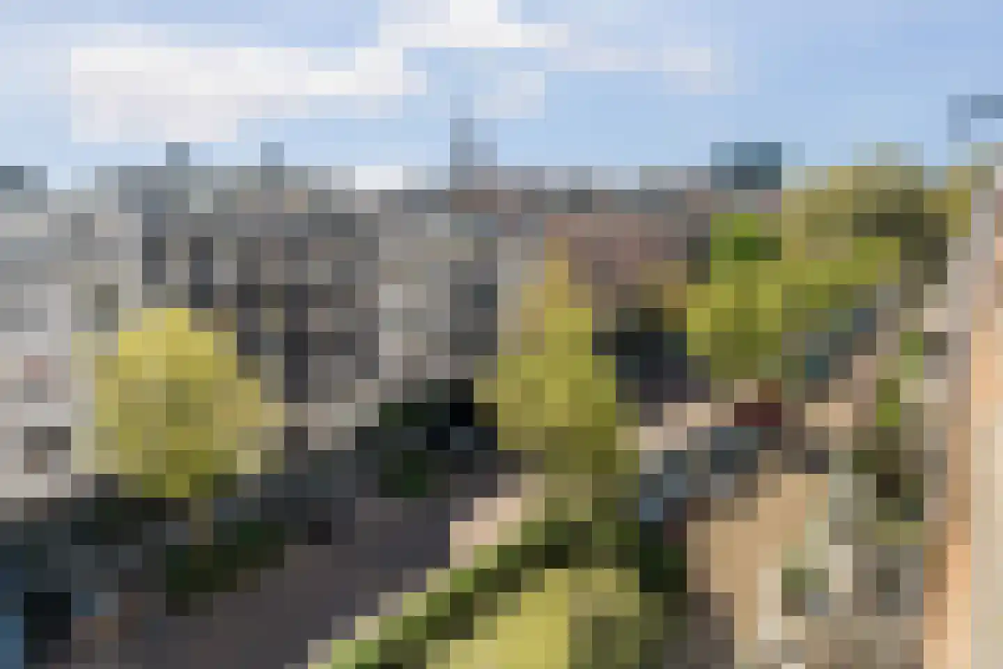 Wagenaarstraat 95 Amsterdam thumbnail 22