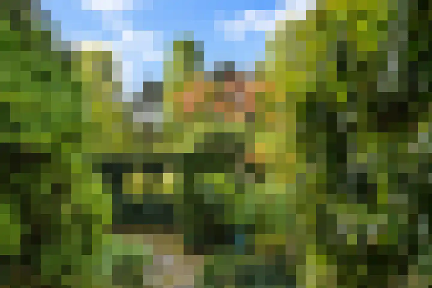 Wagenaarweg 26 Den Haag thumbnail 15
